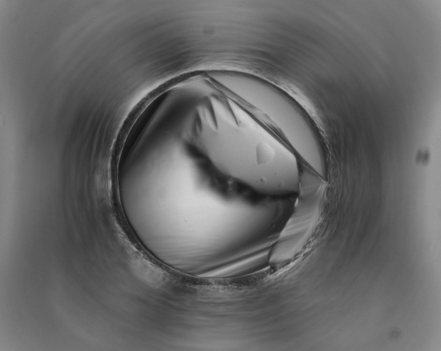 X0000090880980200708171642