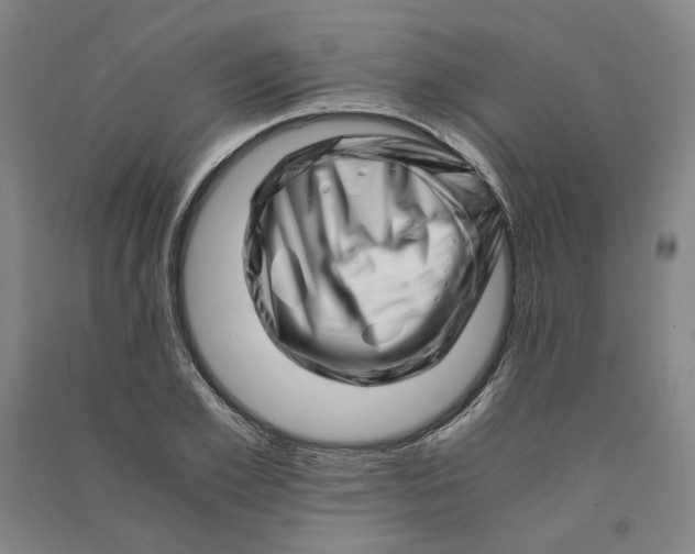X0000090880981200708171642
