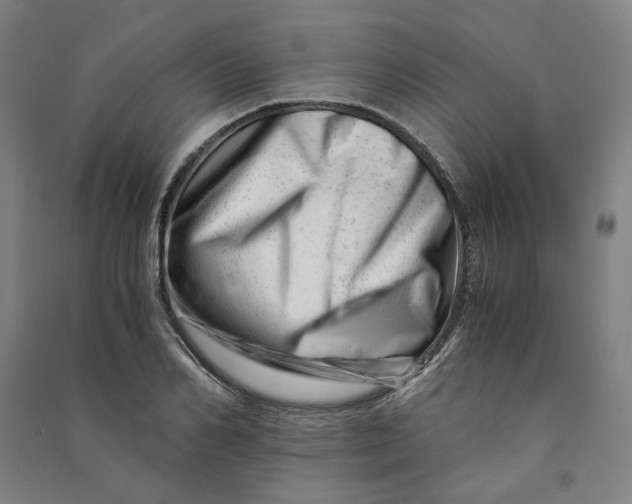X0000090880982200708171642
