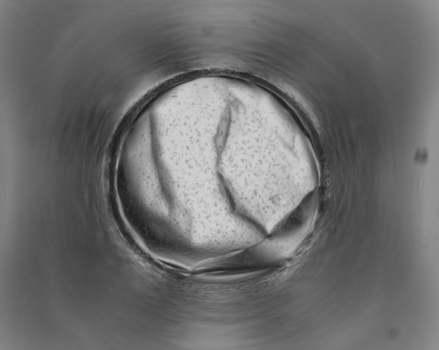 X0000090880983200708171642