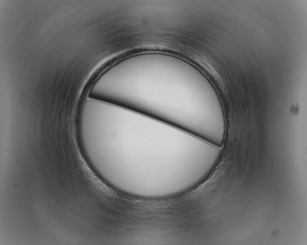 X0000090880984200708171642