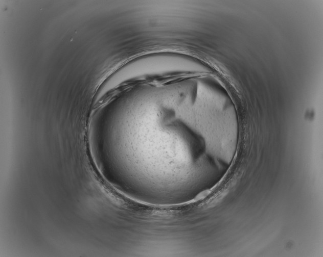 X0000090880985200708171642