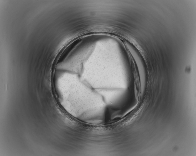 X0000090880986200708171642
