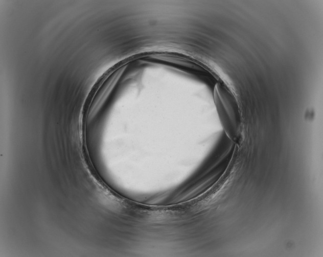 X0000090880988200708171642