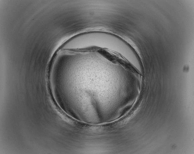 X0000090880989200708171642