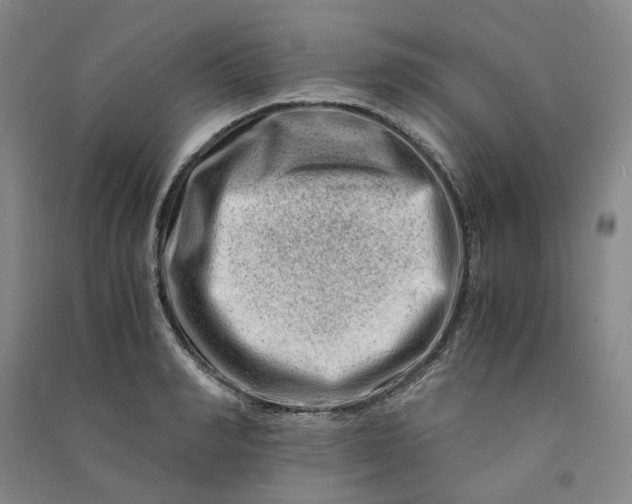 X0000090880990200708171642