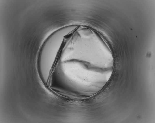 X0000090880991200708171642