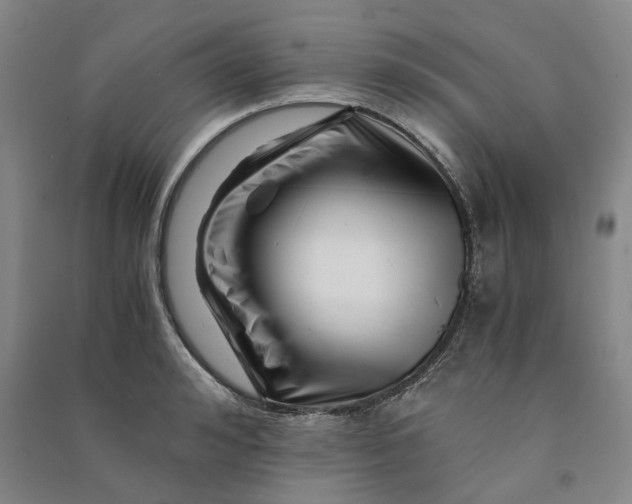 X0000090880992200708171642