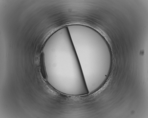 X0000090880993200708171642