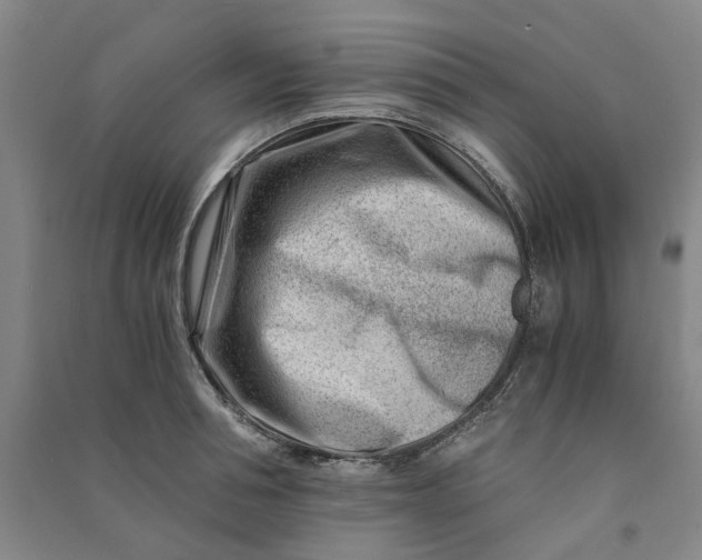 X0000090880994200708171642