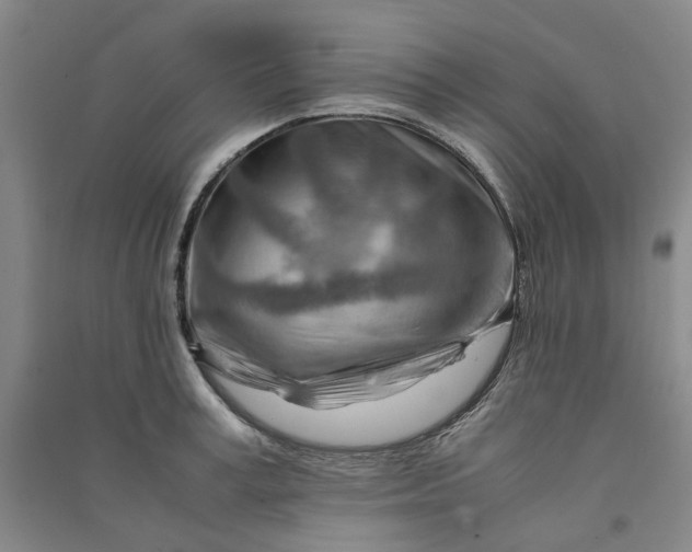 X0000090880995200708171642