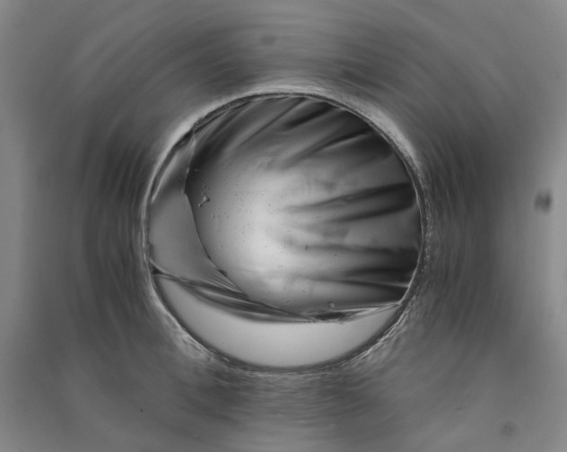 X0000090880996200708171642