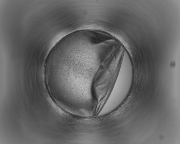 X0000090880998200708171642