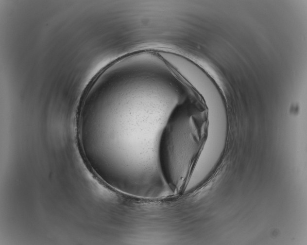 X0000090880999200708171642