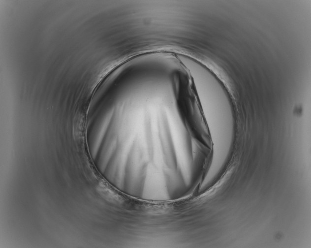 X0000090881001200708171642