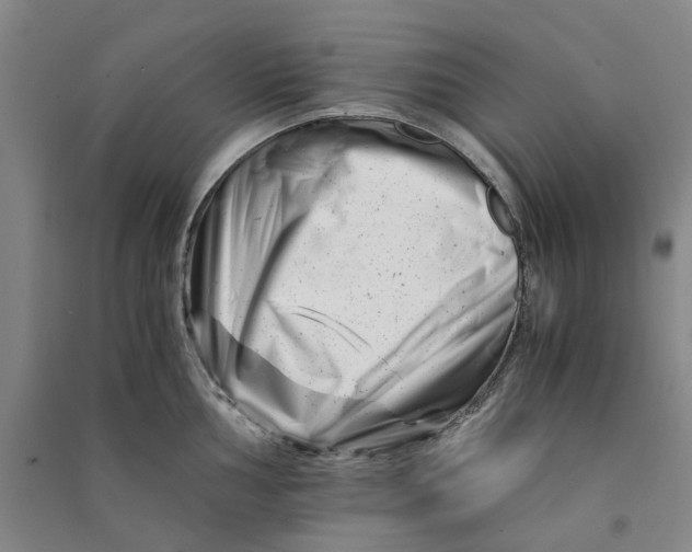 X0000090881002200708171642