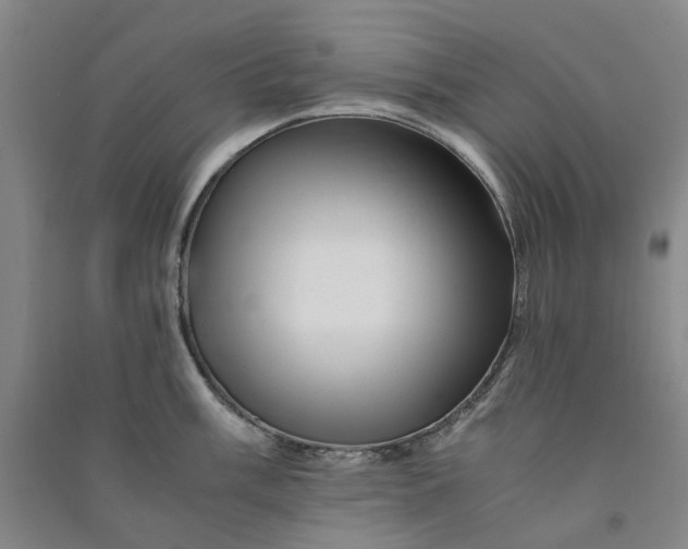 X0000090881003200708171642