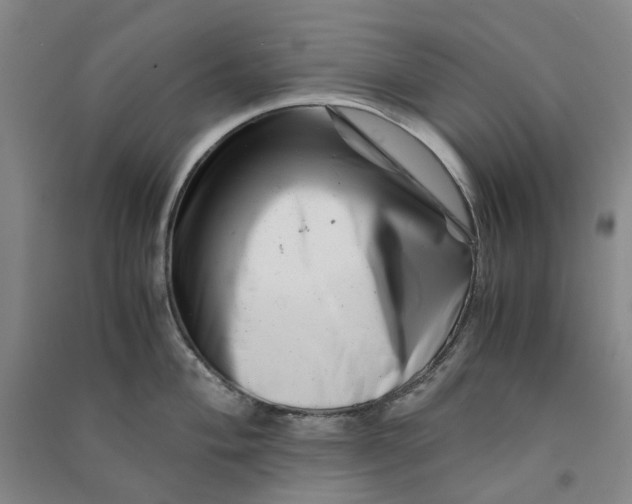 X0000090881004200708171642