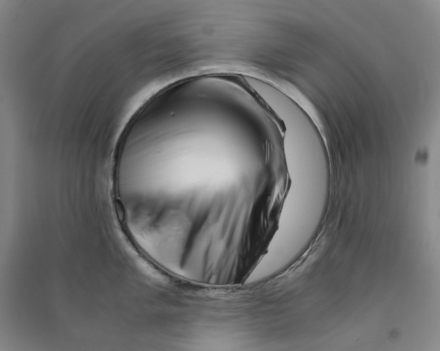 X0000090881005200708171642