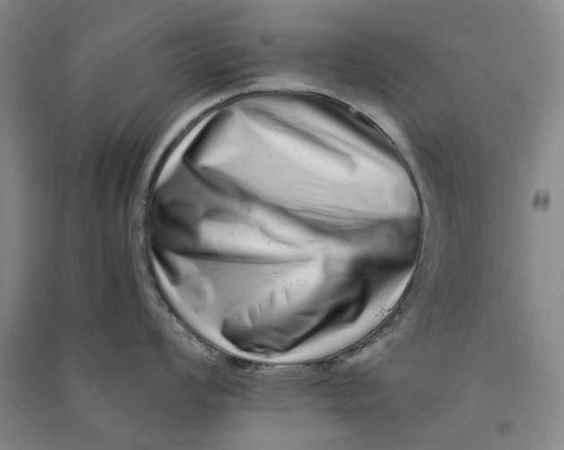 X0000090881008200708171642