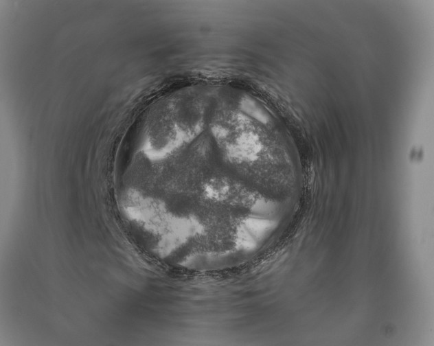 X0000090881009200708171641