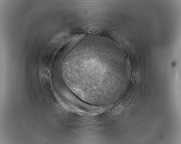 X0000090881010200708171641