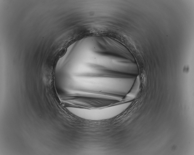 X0000090881012200708171641