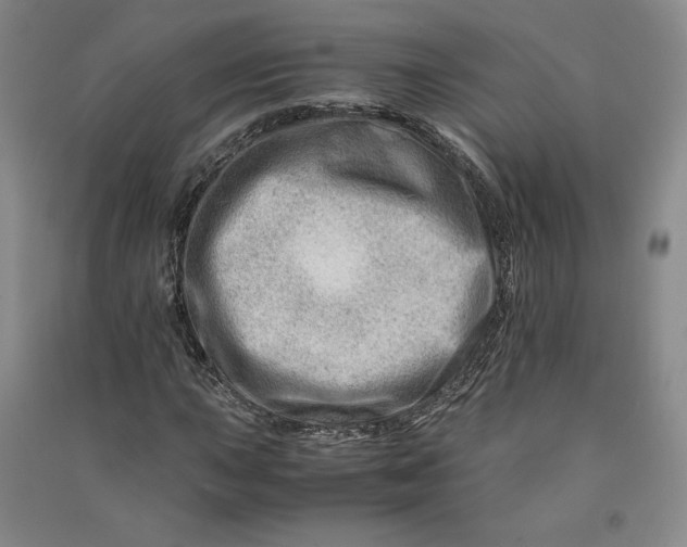 X0000090881015200708171641