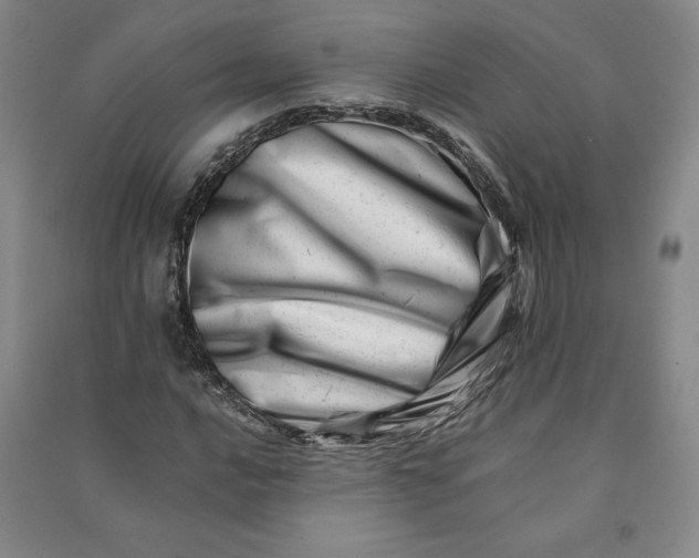 X0000090881016200708171641