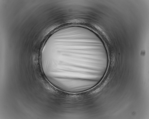 X0000090881017200708171641