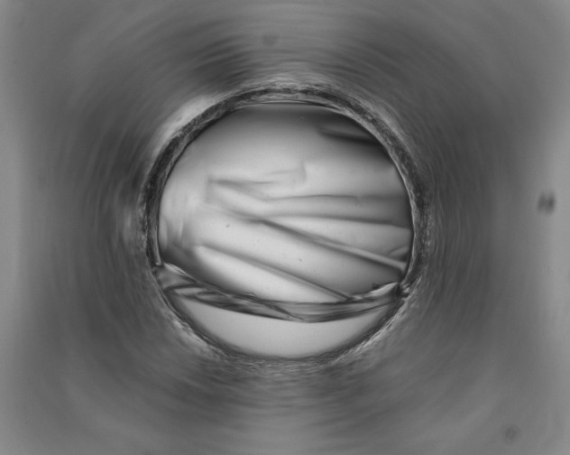 X0000090881018200708171641