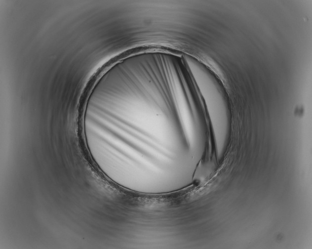 X0000090881020200708171641