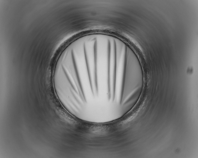 X0000090881021200708171641