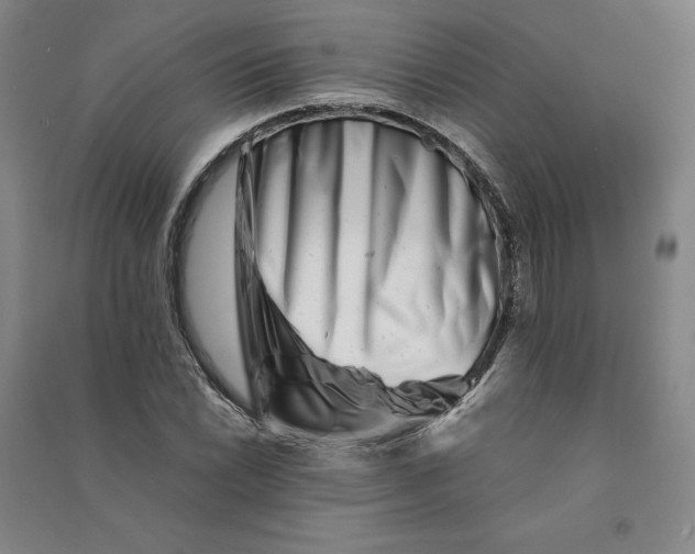 X0000090881022200708171641