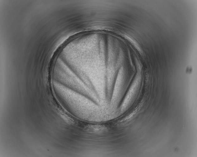 X0000090881023200708171641