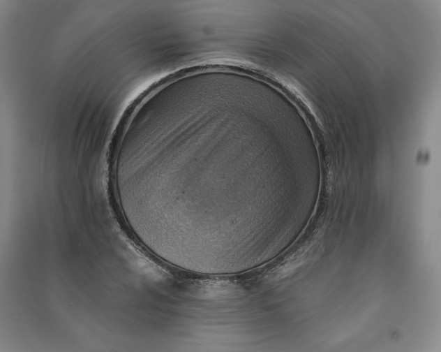 X0000090881024200708171641