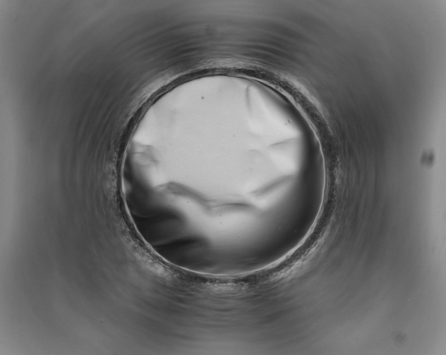 X0000090881025200708171641
