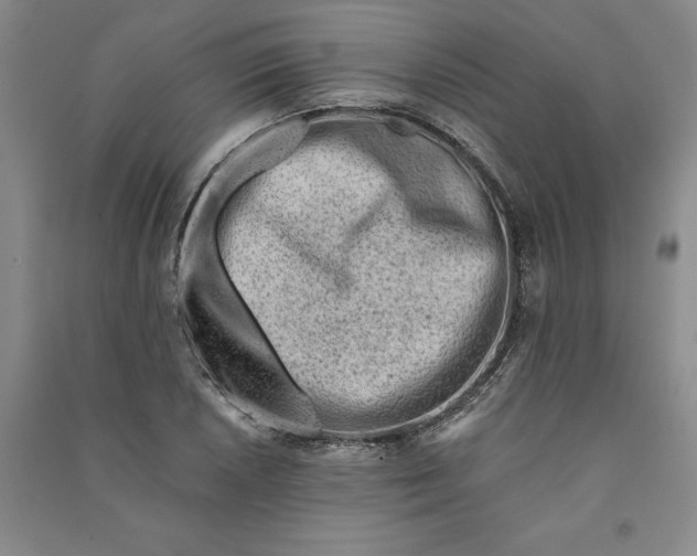 X0000090881026200708171641