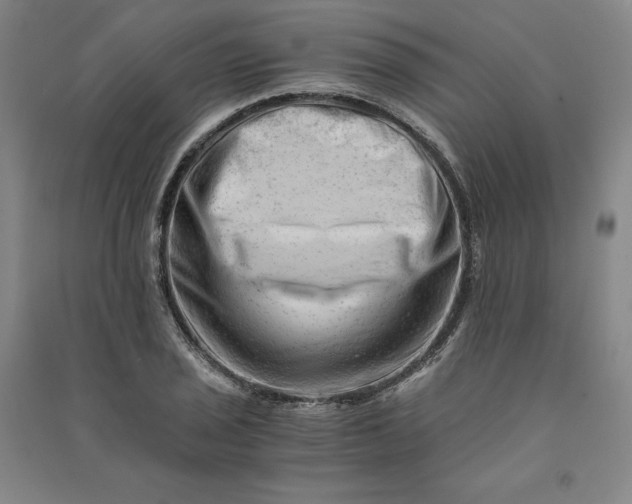 X0000090881029200708171641