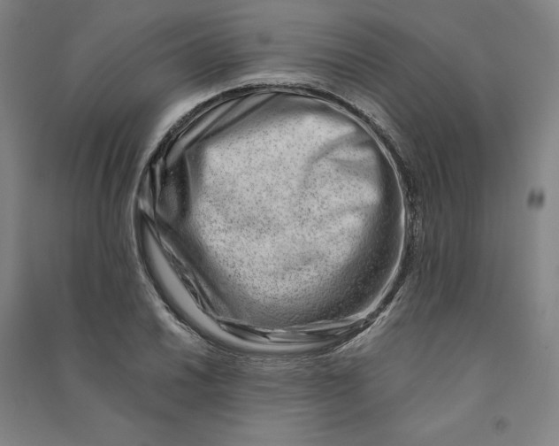 X0000090881030200708171641