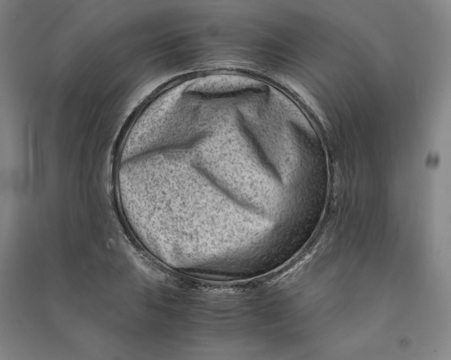X0000090881031200708171641