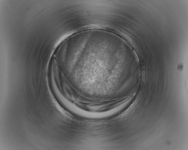 X0000090881034200708171641