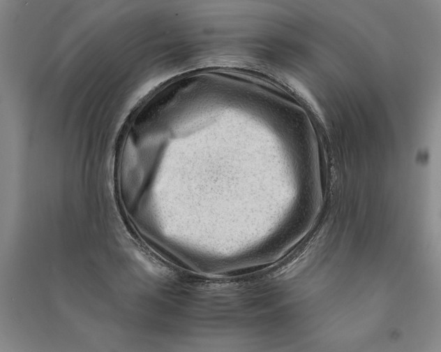 X0000090881035200708171641