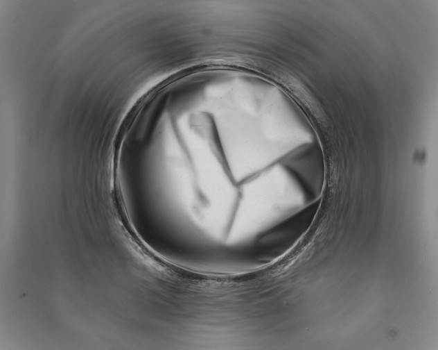 X0000090881036200708171641