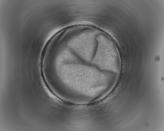 X0000090881038200708171641
