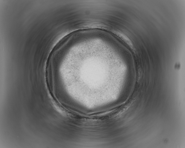 X0000090881039200708171641