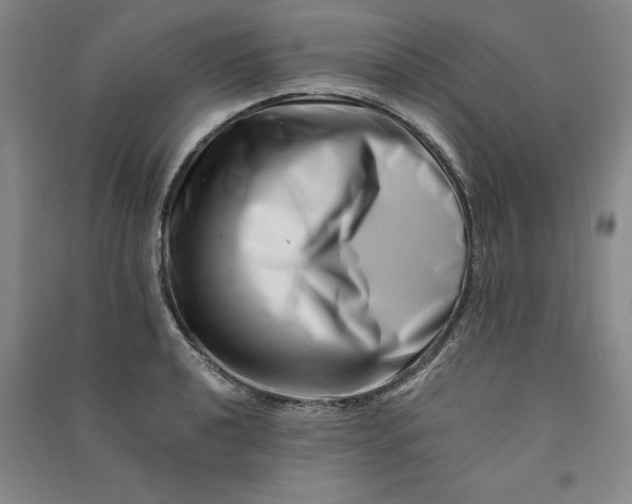 X0000090881040200708171641