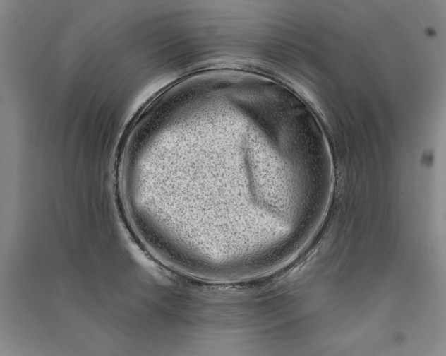 X0000090881042200708171641