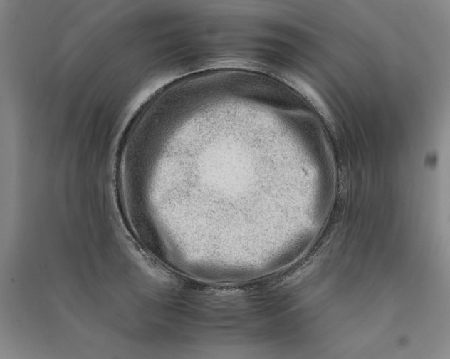 X0000090881043200708171641