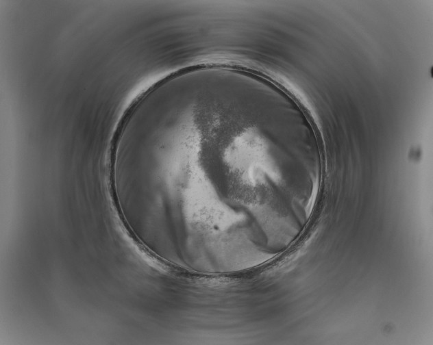 X0000090881045200708171641